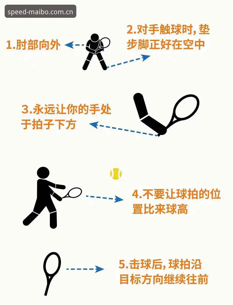 揭秘迈博体育功能：资深用户才知道的高效玩法与隐藏技巧